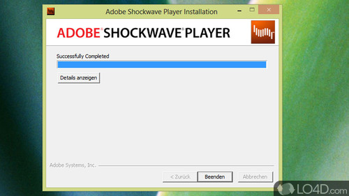 adobe shockwave player not working on chrome